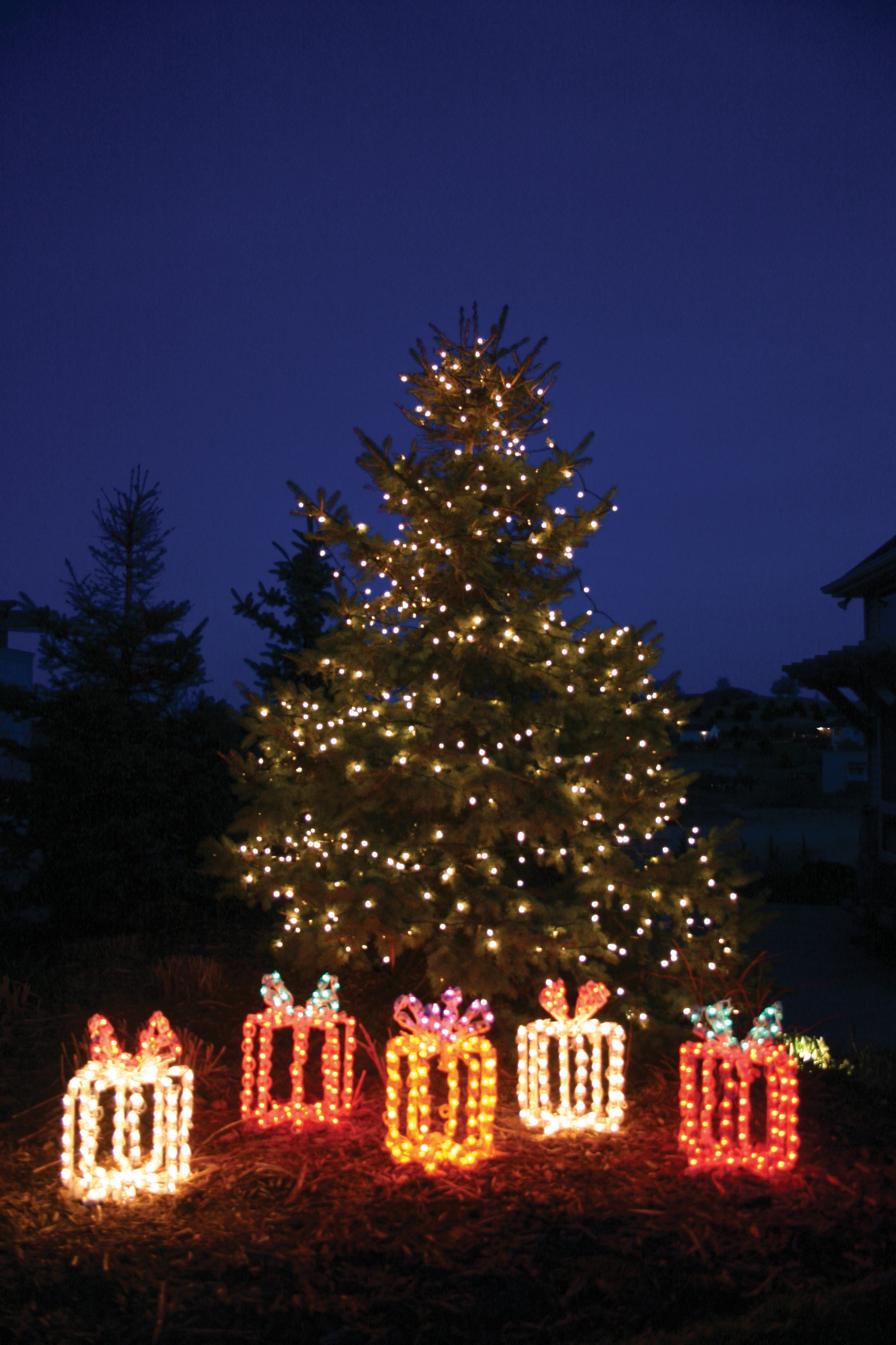 Holiday Lights Service for Suffolk, Long Island NY Alternative Earth Care