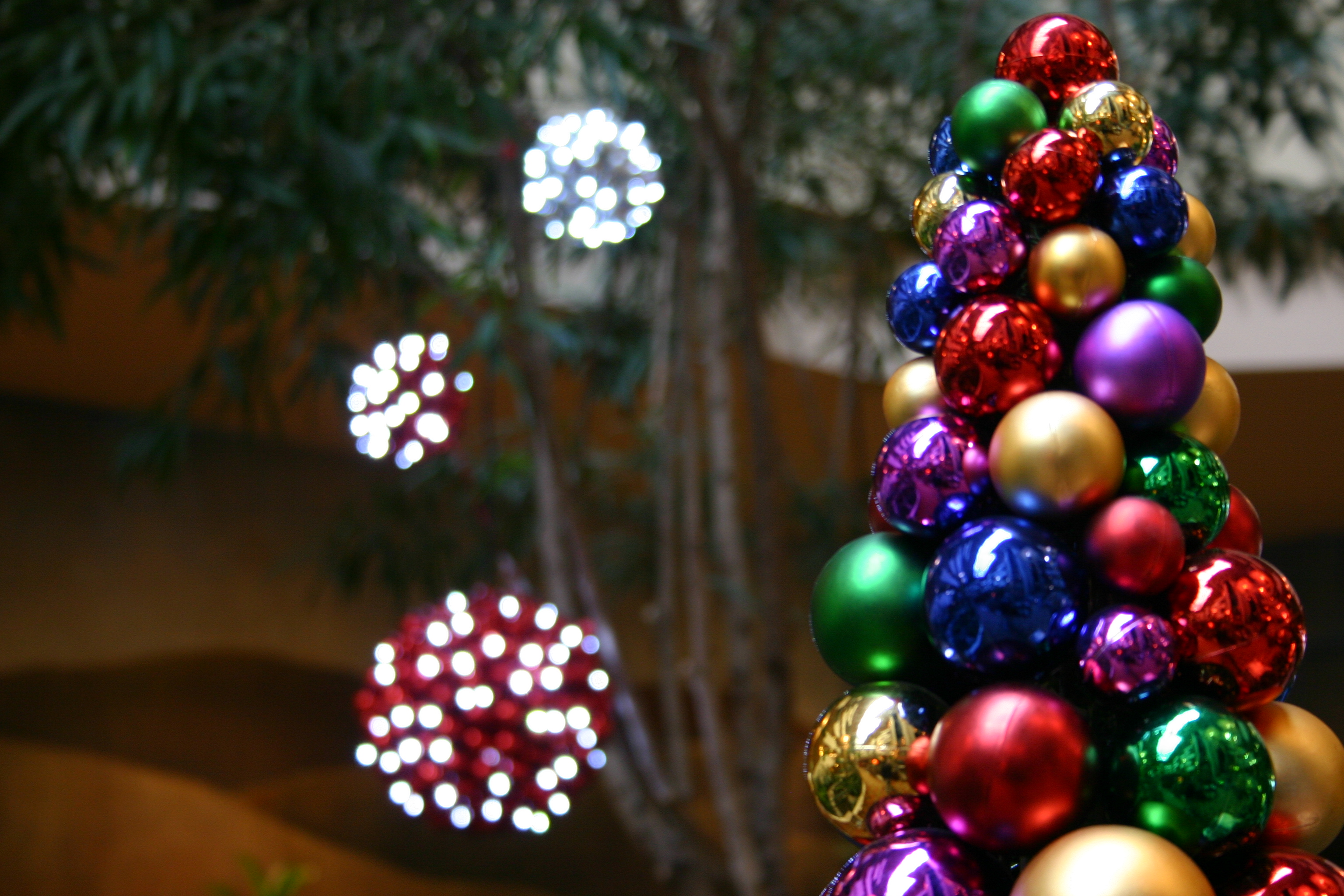 Holiday Lights Service for Suffolk, Long Island NY Alternative Earth Care