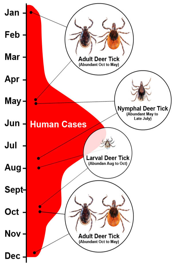 Mosquito Control on Long Island