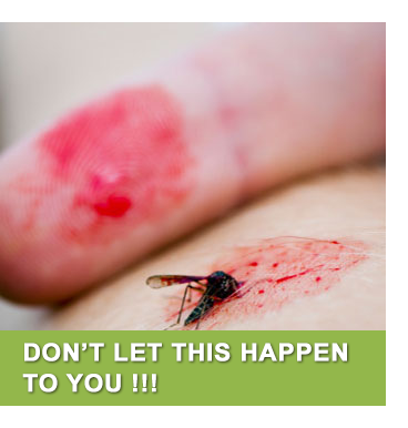 Mosquito Control on Eastern Long Island