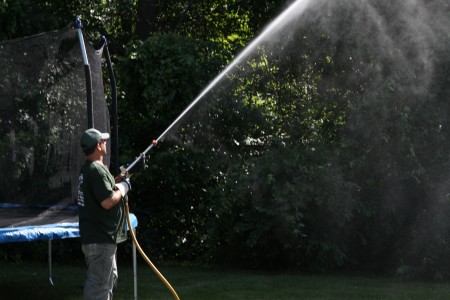 Spraying of Lawn & Trees for Ticks
