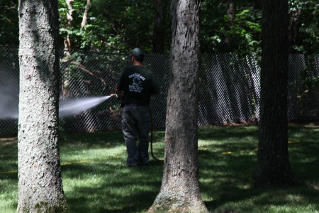 Lawn Spraying for Ticks